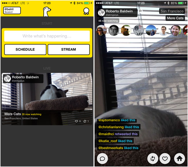Meerkat app