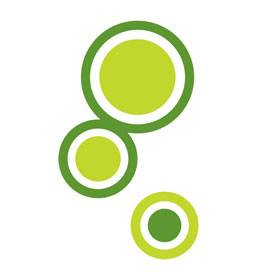 ecentricarts-digital-marketing-agency-toronto