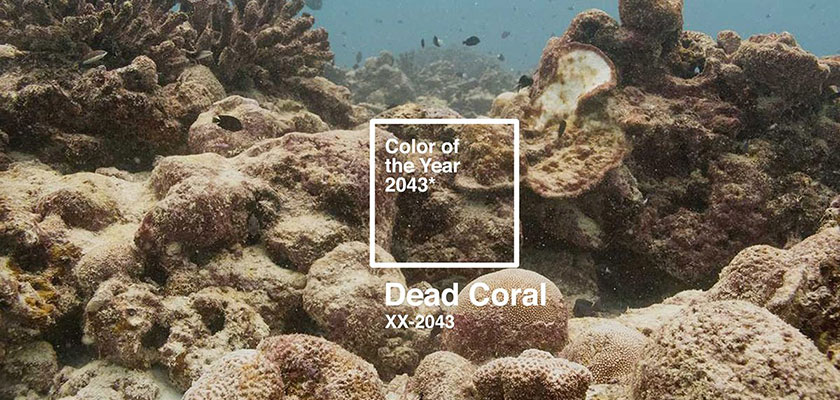 glowing-glowing-gone-adobe-pantone-dead-coral