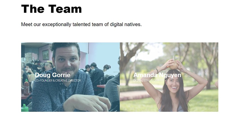 digital-agency-meet-the-team-pages-search-and-gather