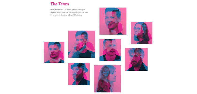 digital-agency-meet-the-team-page-examples-kota