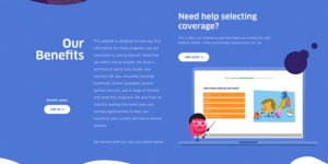 strategy-web-audit-design-development-isadora