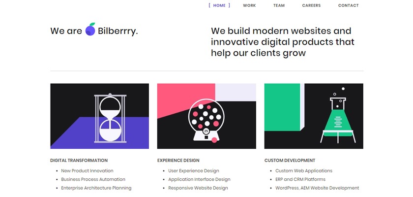bilberrry-website-design