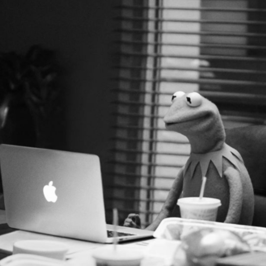 Kermit The Frog Apple Marketing Strategy