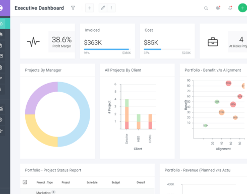 celoxis-dashboard-screenshot