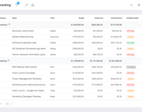 celoxis-project-tracking-dashboard-screenshot