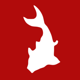 whitefish-marketing-digital-agency-kent-uk