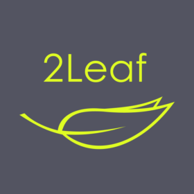 2leaf-digital-marketing-agency-sacramento-usa