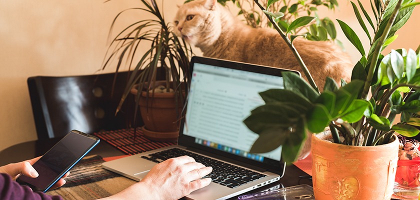 5-ways-to-keep-employer-data-secure-when-working-remotely