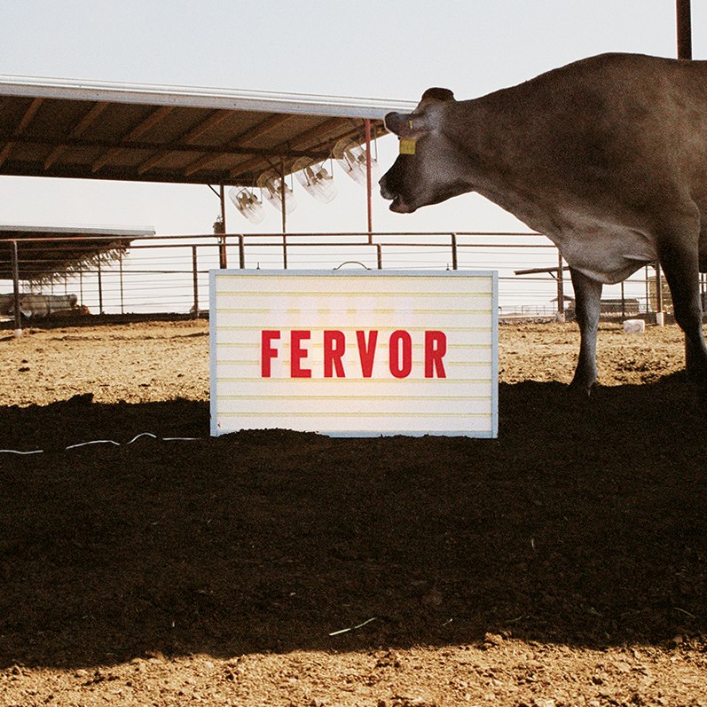 fervor-creative-digital-agency