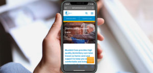 insights-into-real-needs-bluebird-website
