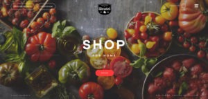 interactive-factor-in-the-website-of-hardies