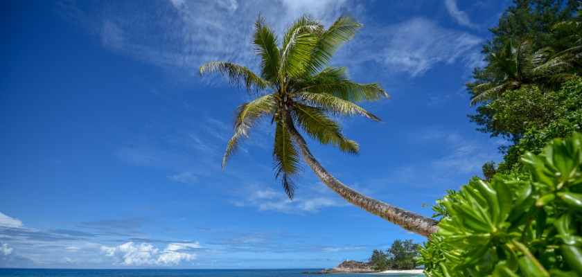 social-republic-announced-as-new-social-media-partner-of-constance-hotels-resorts