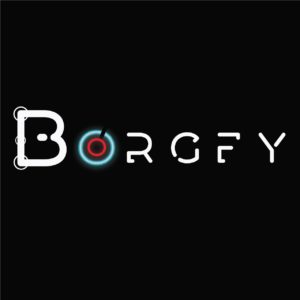 borgfy-digital-agency