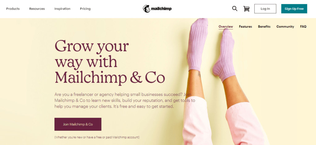 mailchimp-and-co