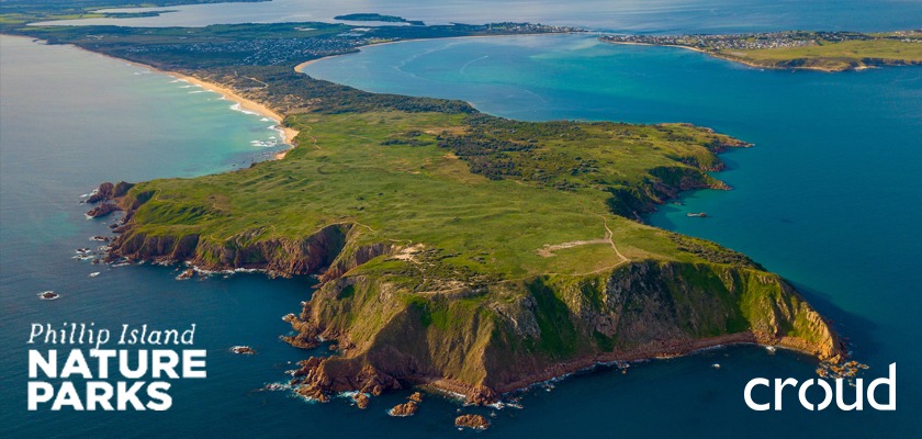 Phillip Island Nature Parks with Croud to Drive Brand Awareness