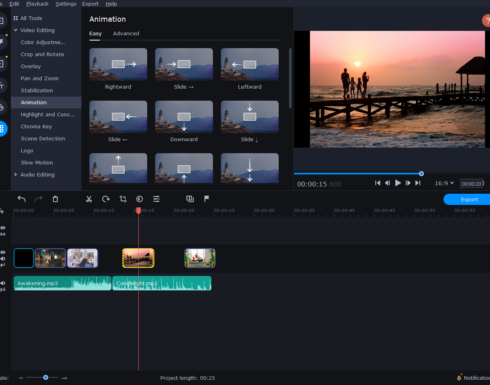 movavi stabilization
