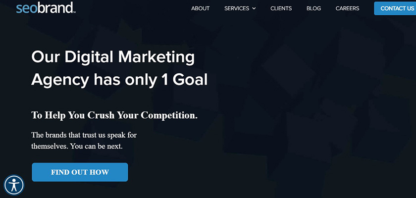 seo-brand-web-design-agency-in-miami