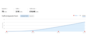 zest-digital-hanson-search-visibility-performance
