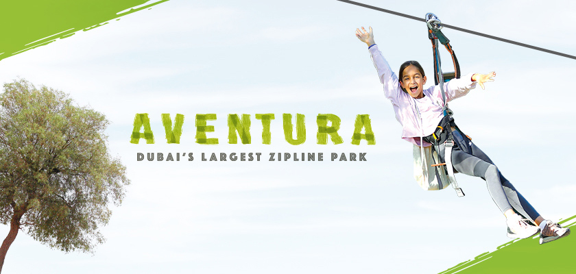 zoom-digital-made-custom-wordpress-website-for-aventura-parks-1