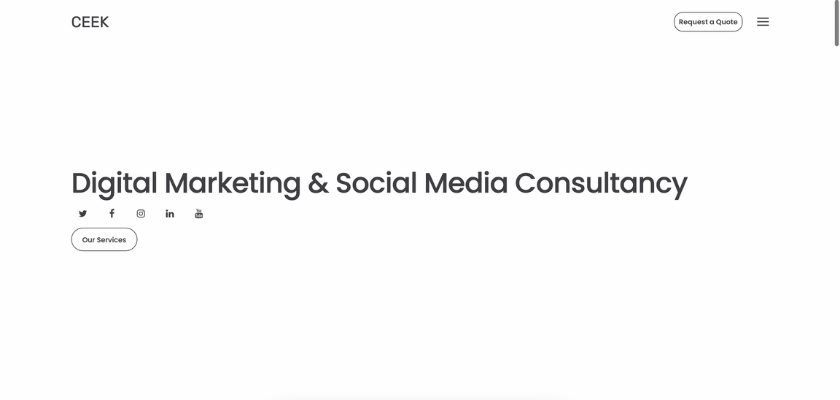 CEEK social media advertising and marketing company