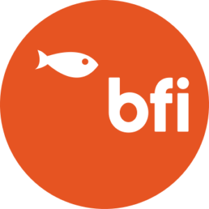 bfi-digital-agency