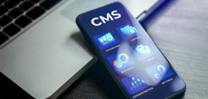 which-is-the-best-cms-for-seo