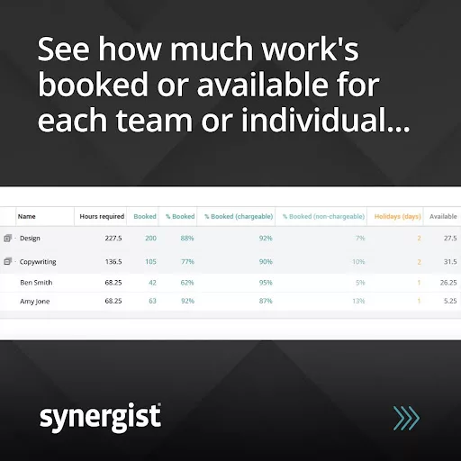 Synergist-Capacity-report-by-team-and-individual
