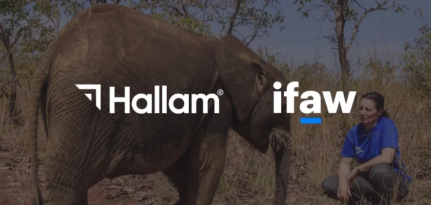 hallam-welcomes-international-fund-for-animal-welfare-as-a-new-client