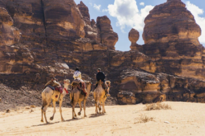 roam-offers-a-rare-opportunity-to-explore-the-unexplored
