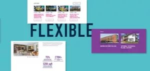 seddon-website-by-absolute-agency