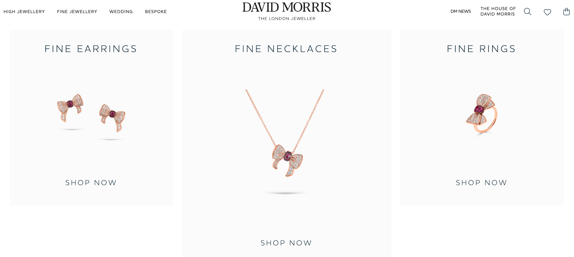 david-morris-website-homepage