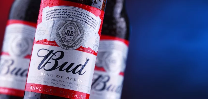 Budweiser’s Digital Marketing Strategy – Humor Meets Branding