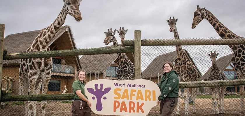 harrison-carloss-unleashes-a-wild-new-rebrand-for-west-midlands-safari-park