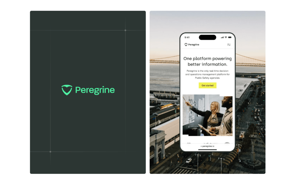 together-agency-peregrine-case-study