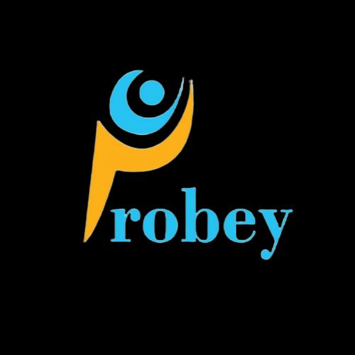 probey-digital-agency