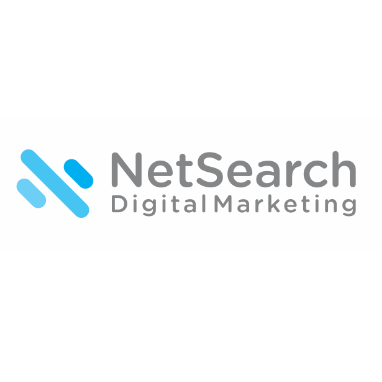 netsearchlogo