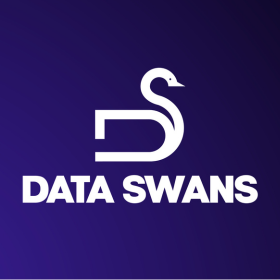 data-swans-digital-agency