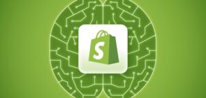 how-shopify-brands-can-prepare-for-the-next-wave-of-ai-driven-e-commerce-1