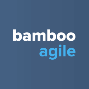 bamboo-agile-digital-agency