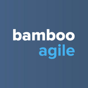 bamboo-agile-digital-agency