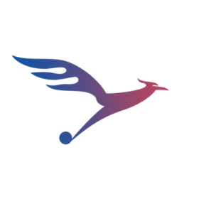 sellthru-digital-agency