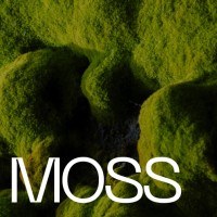 moss_marketing_agency