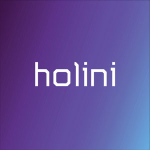 Holini B2B tech growth marketing agency